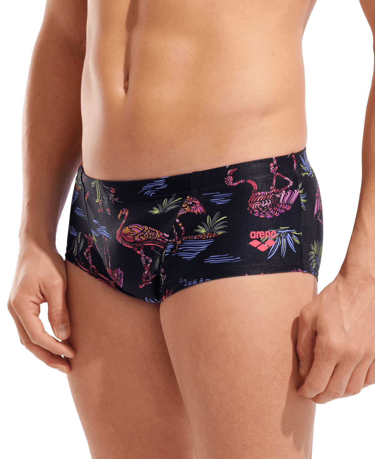 Arena Flamingo Swim Low Waist Short miesten uimahousut, mustaArena