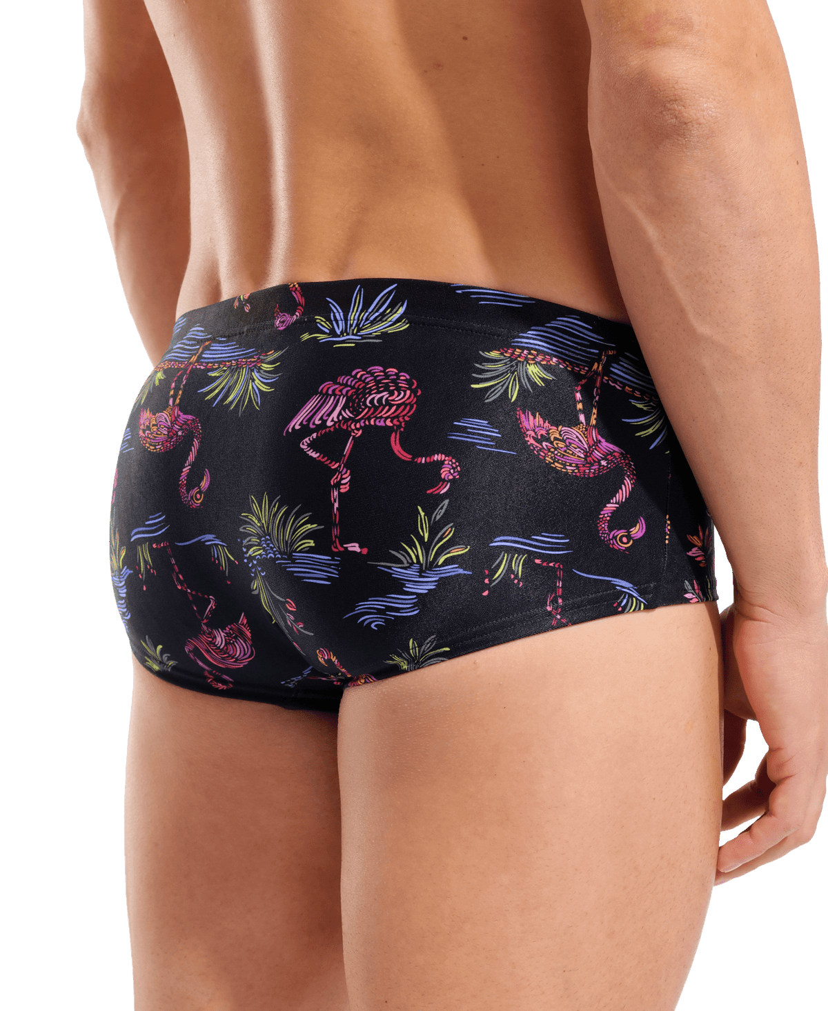 Arena Flamingo Swim Low Waist Short miesten uimahousut, mustaArena