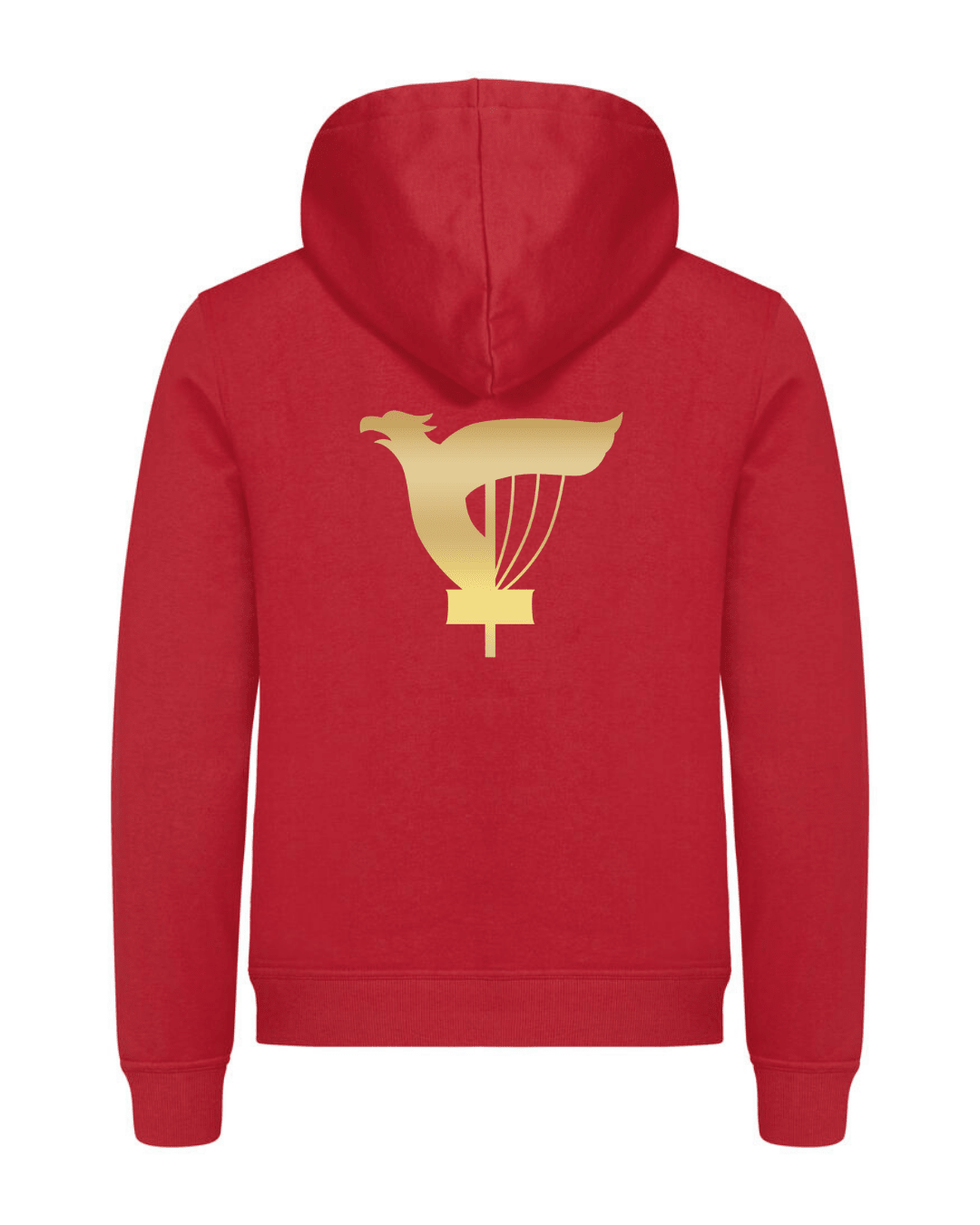 Basic Hoody punainen - KAVO DGKAVO