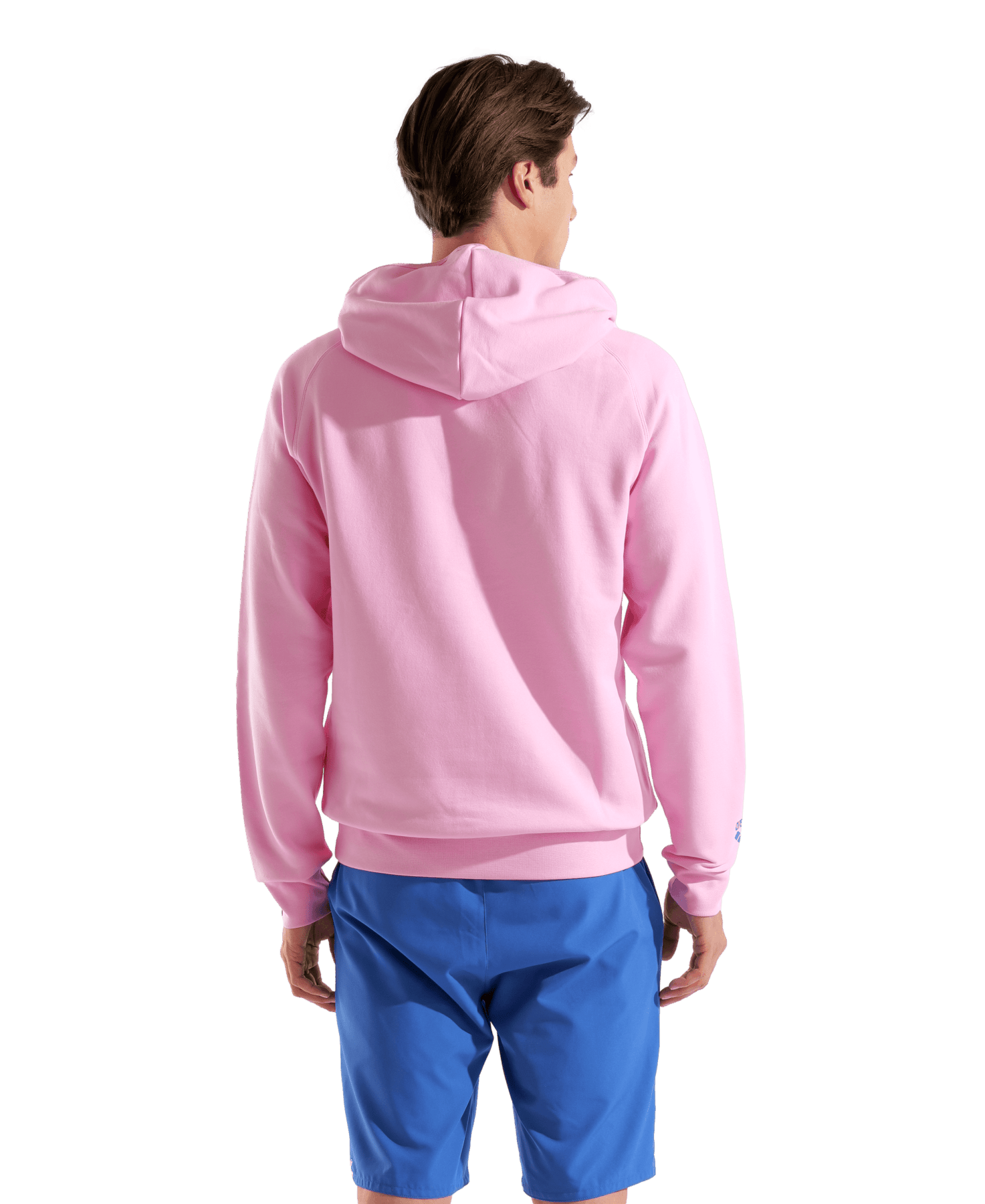 Hooded Sweat Arena Logo Orchid huppari, vaaleanpunainenArena