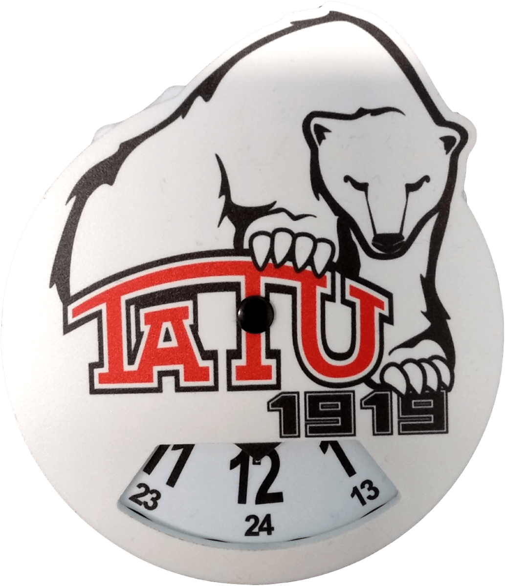 TaTU parkkikiekkoTaTU